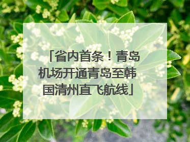 省内首条！青岛机场开通青岛至韩国清州直飞航线