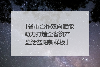 省市合作双向赋能 助力打造全省资产盘活益阳新样板