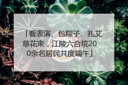 看表演、包粽子、扎艾草花束，江陵六合垸200余名居民共度端午