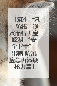 筑牢“汛”防线｜逆水而行！宝峰湖 “安全卫士” 出鞘 防汛应急再添硬核力量