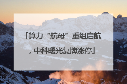 算力“航母”重组启航，中科曙光复牌涨停