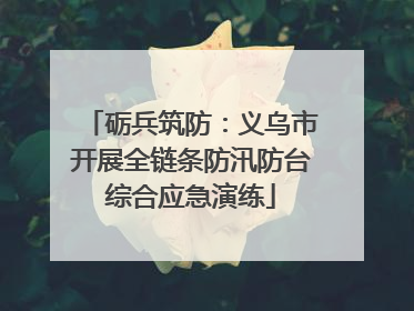 砺兵筑防：义乌市开展全链条防汛防台综合应急演练