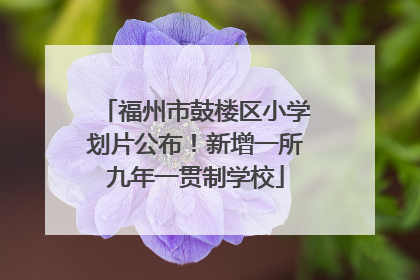 福州市鼓楼区小学划片公布！新增一所九年一贯制学校