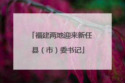 福建两地迎来新任县（市）委书记