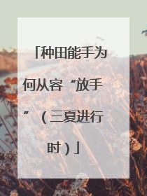 种田能手为何从容“放手”（三夏进行时）