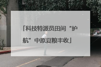 科技特派员田间“护航”中原夏粮丰收