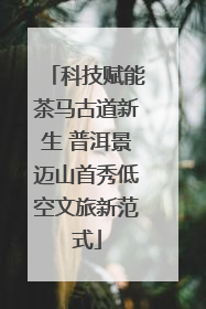 科技赋能茶马古道新生 普洱景迈山首秀低空文旅新范式