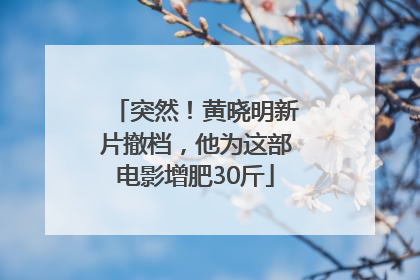 突然！黄晓明新片撤档，他为这部电影增肥30斤