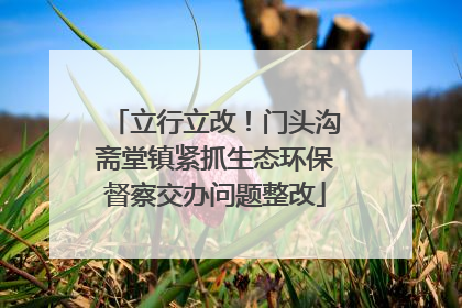 立行立改！门头沟斋堂镇紧抓生态环保督察交办问题整改