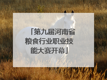 第九届河南省粮食行业职业技能大赛开幕