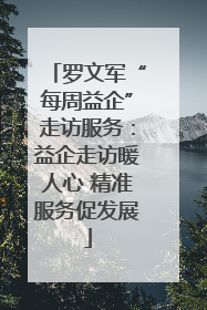 罗文军“每周益企”走访服务：益企走访暖人心 精准服务促发展