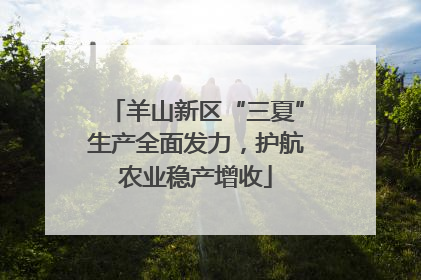羊山新区“三夏”生产全面发力，护航农业稳产增收