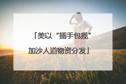 美以“插手包揽”加沙人道物资分发