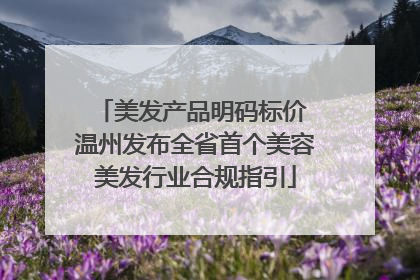 美发产品明码标价 温州发布全省首个美容美发行业合规指引