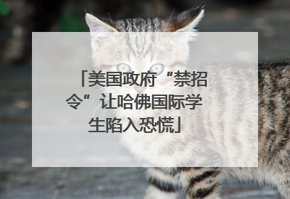 美国政府“禁招令”让哈佛国际学生陷入恐慌
