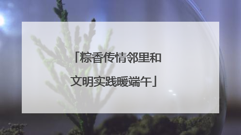 粽香传情邻里和 文明实践暖端午