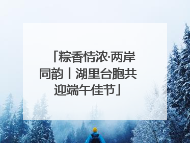 粽香情浓·两岸同韵丨湖里台胞共迎端午佳节