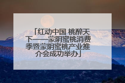红动中国 桃醉天下——蒙阴蜜桃消费季暨蒙阴蜜桃产业推介会成功举办