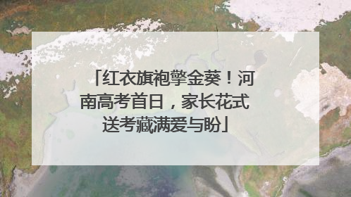 红衣旗袍擎金葵！河南高考首日，家长花式送考藏满爱与盼