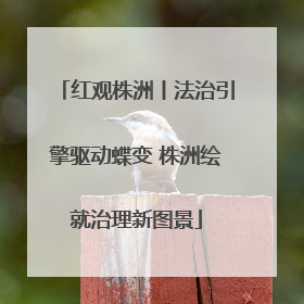 红观株洲丨法治引擎驱动蝶变 株洲绘就治理新图景