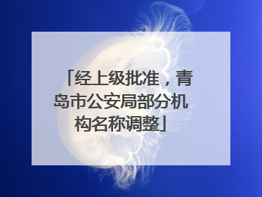 经上级批准，青岛市公安局部分机构名称调整