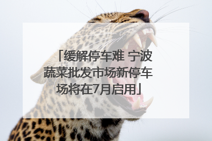 缓解停车难 宁波蔬菜批发市场新停车场将在7月启用