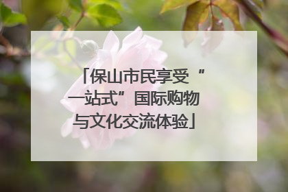 保山市民享受“一站式”国际购物与文化交流体验