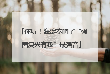 你听！海淀奏响了“强国复兴有我”最强音