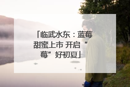 临武水东：蓝莓甜蜜上市 开启“莓”好初夏