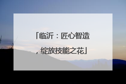 临沂：匠心智造，绽放技能之花