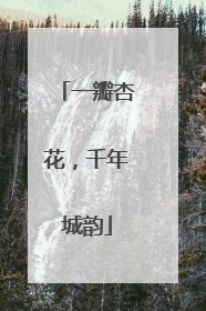 一瓣杏花，千年城韵