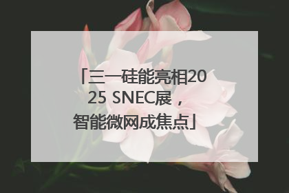 三一硅能亮相2025 SNEC展，智能微网成焦点