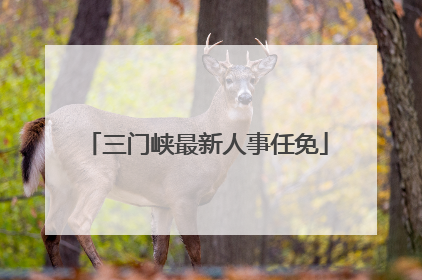 三门峡最新人事任免