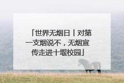 世界无烟日丨对第一支烟说不，无烟宣传走进十堰校园