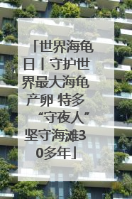 世界海龟日丨守护世界最大海龟产卵 特多“守夜人”坚守海滩30多年