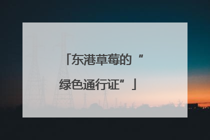 东港草莓的“绿色通行证”