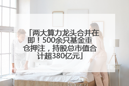 两大算力龙头合并在即！500余只基金重仓押注，持股总市值合计超380亿元