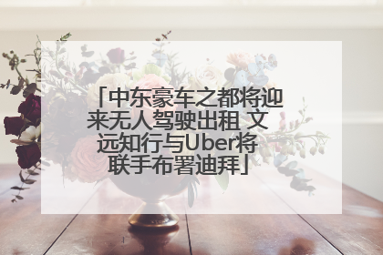 中东豪车之都将迎来无人驾驶出租 文远知行与Uber将联手布署迪拜