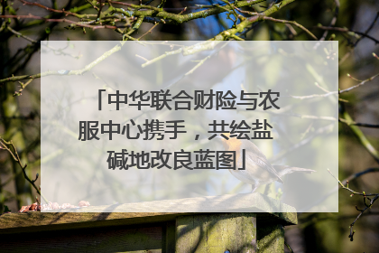 中华联合财险与农服中心携手，共绘盐碱地改良蓝图
