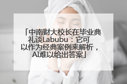 中南财大校长在毕业典礼谈Labubu：它可以作为经典案例来解析，AI难以给出答案