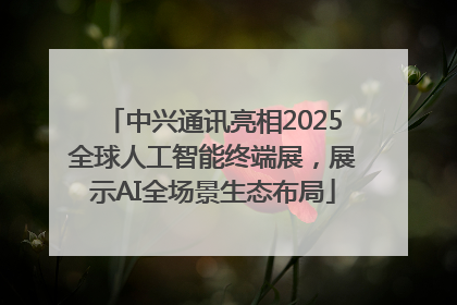 中兴通讯亮相2025全球人工智能终端展，展示AI全场景生态布局