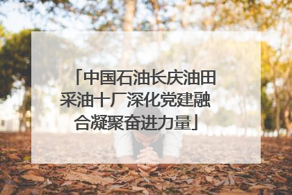 中国石油长庆油田采油十厂深化党建融合凝聚奋进力量