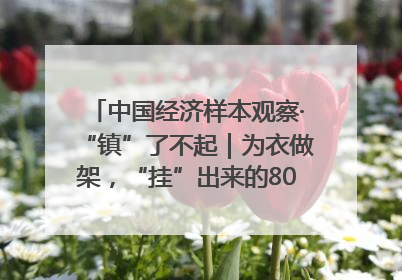 中国经济样本观察·“镇”了不起｜为衣做架，“挂”出来的80亿元“衣架产业”