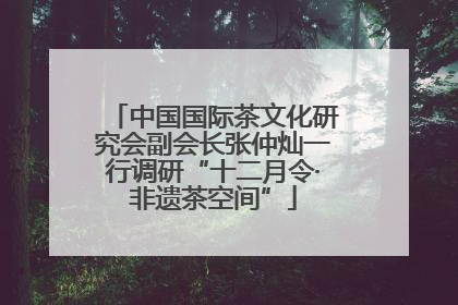 中国国际茶文化研究会副会长张仲灿一行调研“十二月令·非遗茶空间”