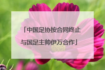 中国足协按合同终止与国足主帅伊万合作