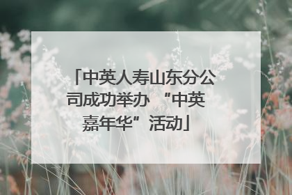 中英人寿山东分公司成功举办 “中英嘉年华”活动