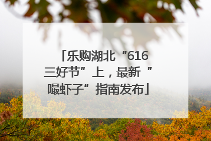 乐购湖北“616三好节”上，最新“嘬虾子”指南发布