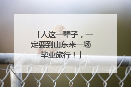 人这一辈子，一定要到山东来一场毕业旅行！