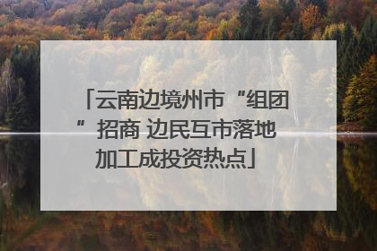 云南边境州市“组团”招商 边民互市落地加工成投资热点