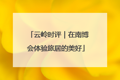 云岭时评｜在南博会体验旅居的美好